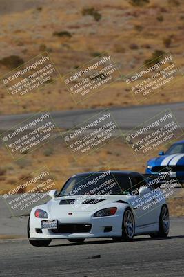 media/Feb-22-2025-Team Topak Racing (Sat) [[cb57a51a40]]/Beginner/Turns 13 and 14/